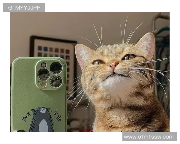 猫咪如何通过努力训练与机遇成为足球场上的明星宠物