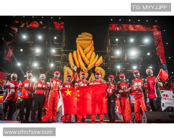 南京排球队的成长之路：挑战赛中的拼搏与荣耀