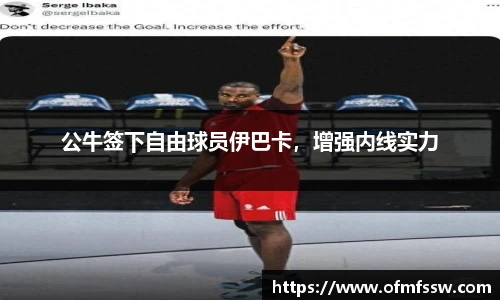 公牛签下自由球员伊巴卡，增强内线实力