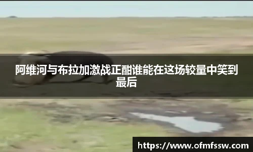 阿维河与布拉加激战正酣谁能在这场较量中笑到最后
